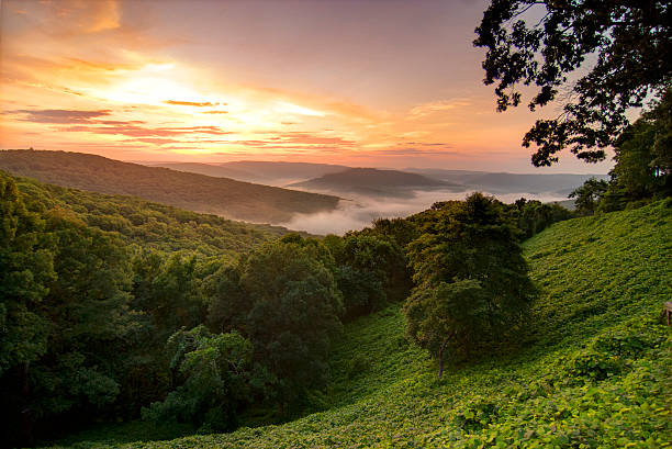 Rehab centers in Arkansas